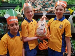 008 2018 Woolworths Sustainability