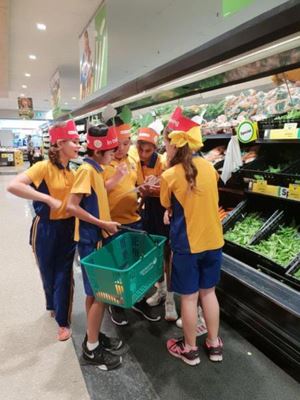 009 2018 Woolworths Sustainability
