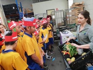 010 2018 Woolworths Sustainability