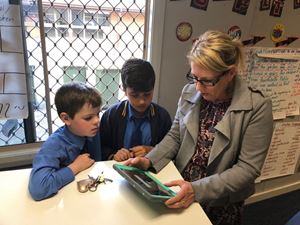 2019 Year 5 PBL 1