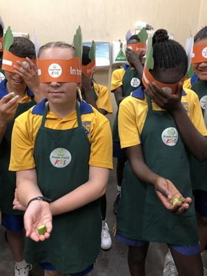 2019 Year 5 Woolies Visit 3