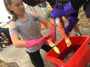 2019 Year 6 Tie Dying 10