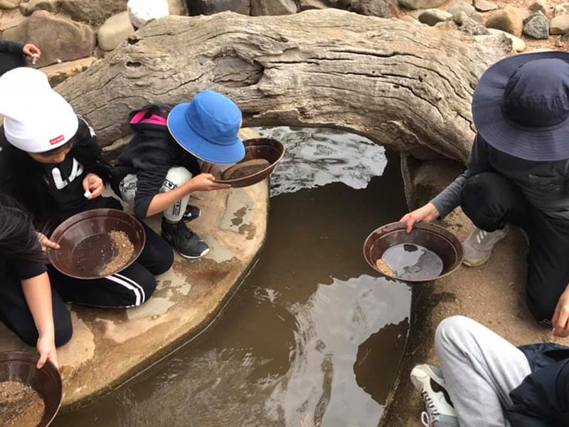 St Andrew's Primary Marayong students looking for Gold