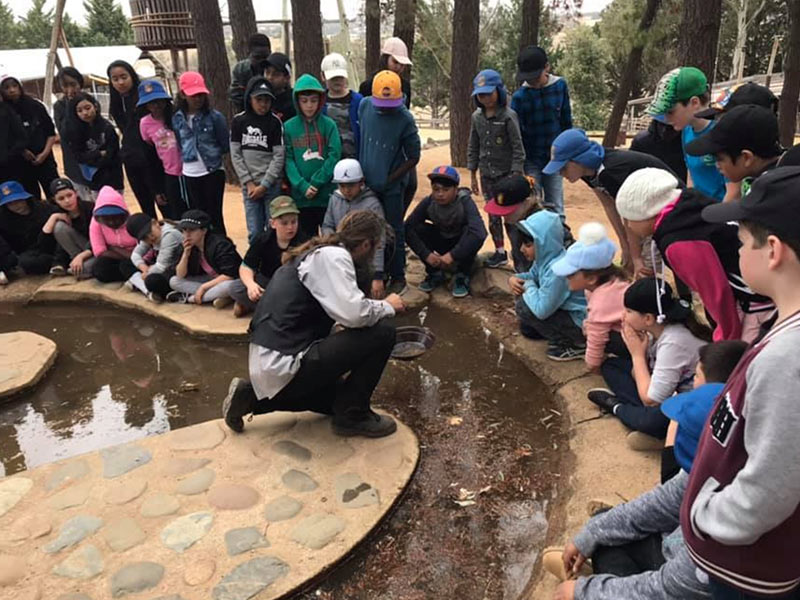 St Andrew's Primary Marayong students looking for Gold