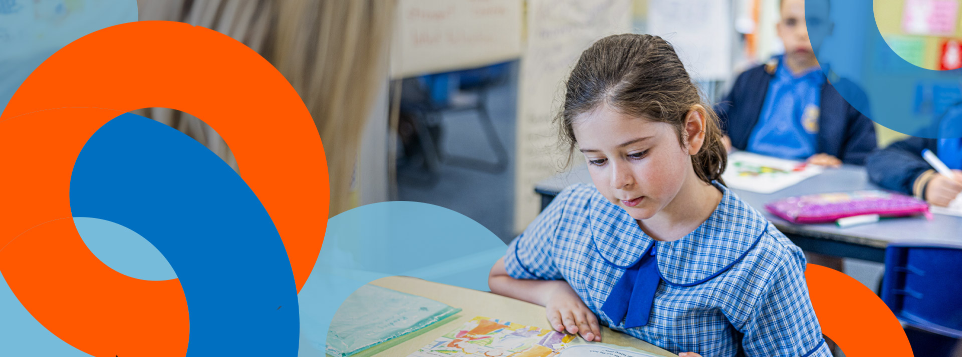 Amazing enrichment opportunities