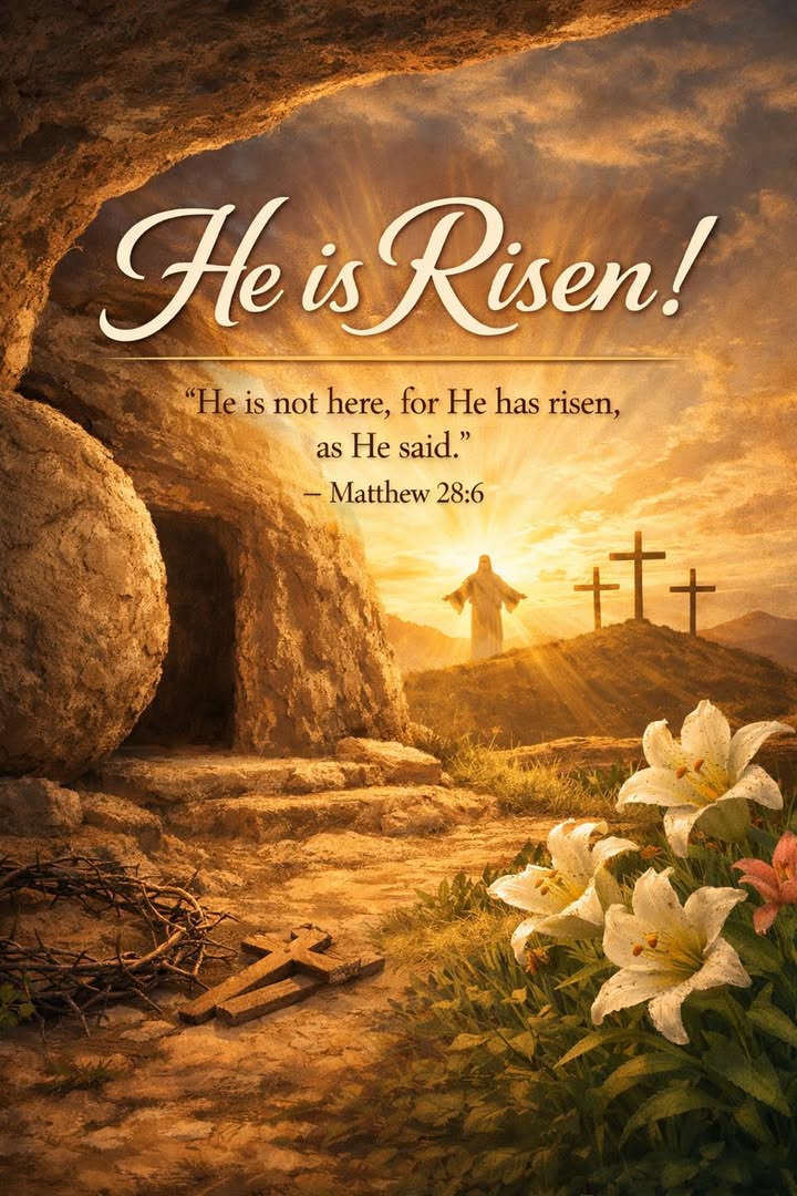 870148851588051_1340718381197760-1