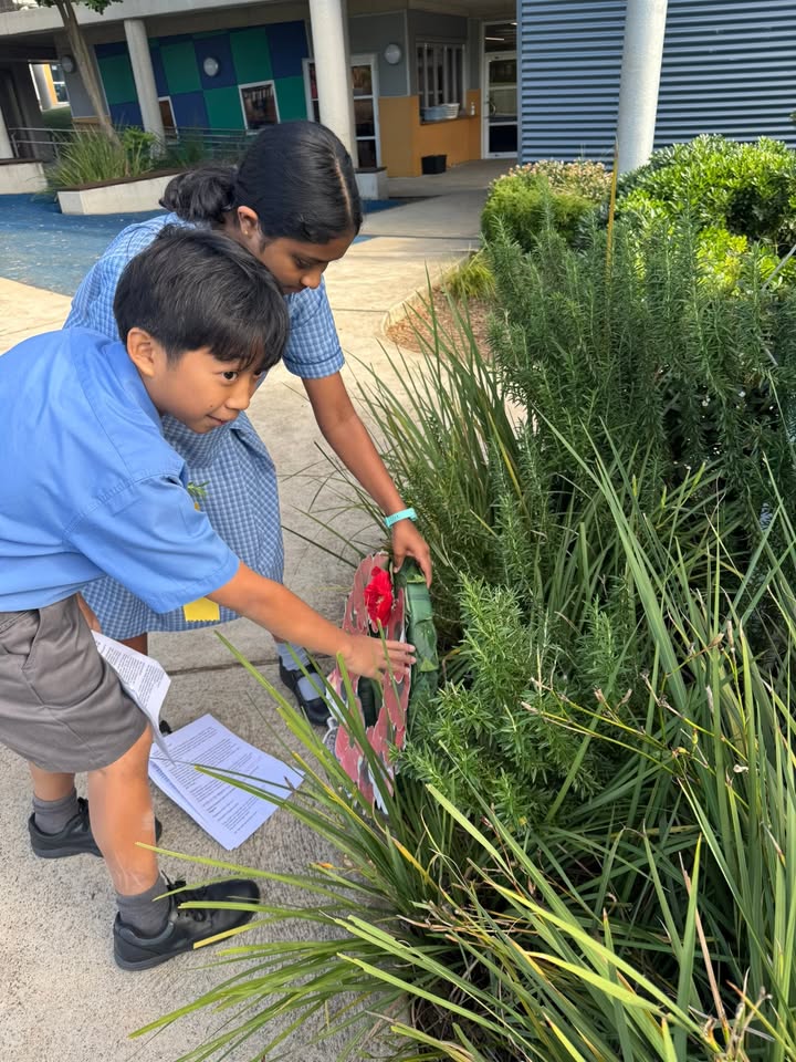 870148851588051_1355356053067326-1